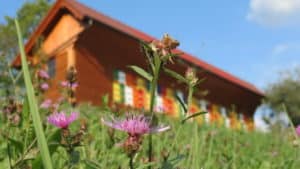 Medeni Studenec beehive čebelnjak honey med Metelko