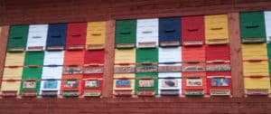 Medeni Studenec panjske končnice beehive panels Metelko