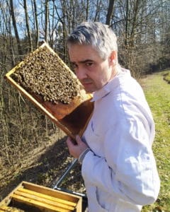 Hrastelj Marko čebele bees