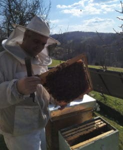 Hrastelj čebelnjak beehive