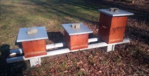 Medeni Studenec beehive panji Metelko