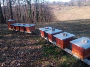 Medeni Studenec čebelarstvo panji beehives Metelko