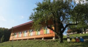 Medeni Studenec kmetija čebelarstvo bee farm Metelko