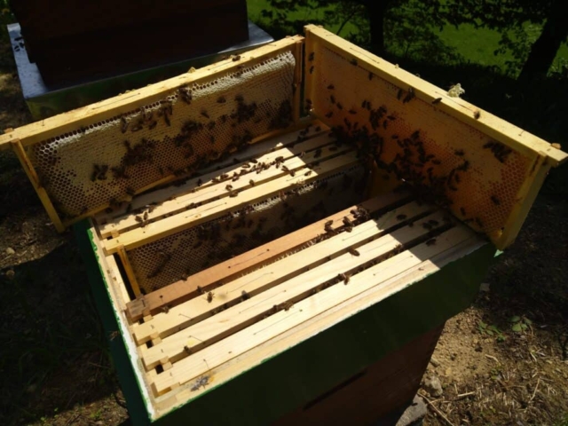 Organic beekeeping