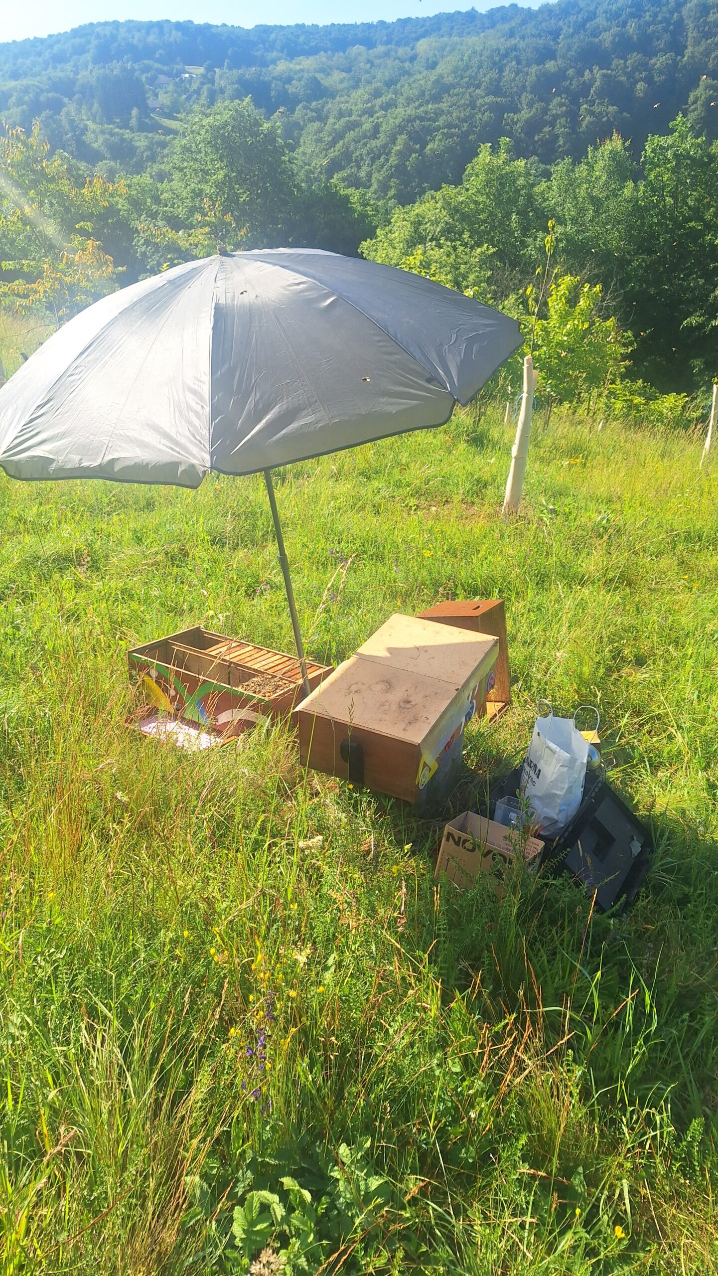 Working with mating nuclei under a sunshade